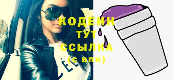 apvp Богородицк