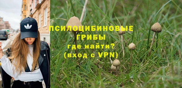 прущие крисы Бугульма