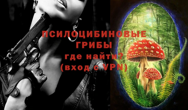 мет Бородино
