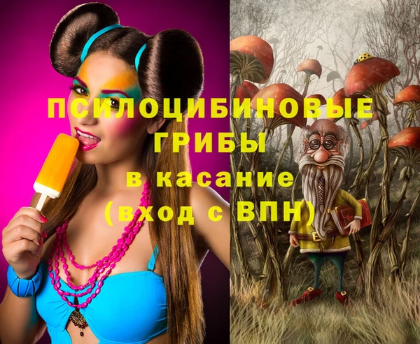 МДПВ Богданович